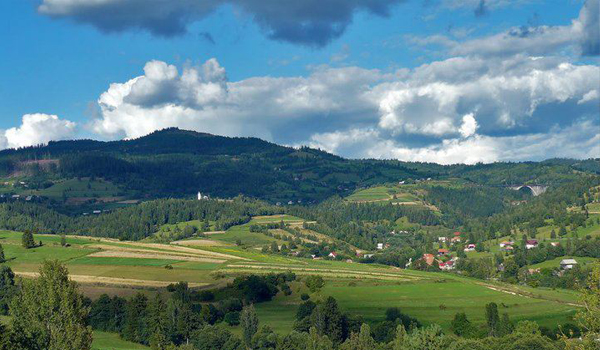 Livezi Ciuc